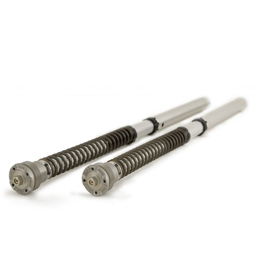 Kit de cartuchos hidráulicos Öhlins TTX 25 FKR Yamaha YZF R1/YZF R6 FKR 102